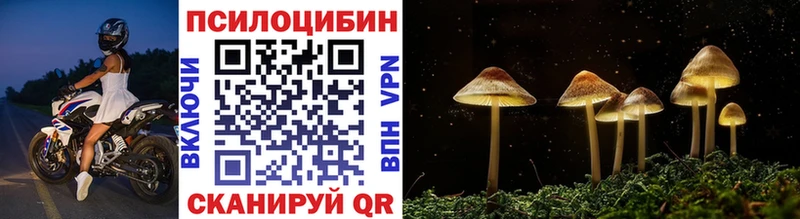 Псилоцибиновые грибы Psilocybine cubensis  как найти   Новопавловск 