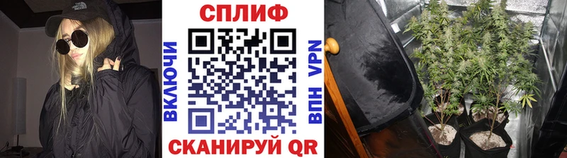 Бошки марихуана сатива Новопавловск